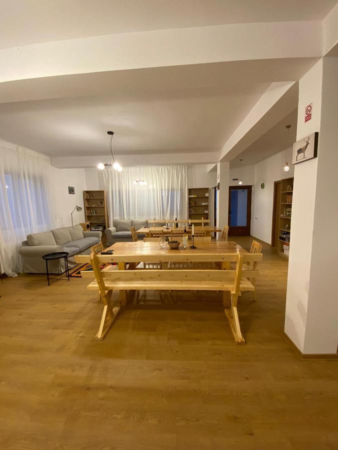Отель Casuta De La Munte Sfodea Экстерьер фото