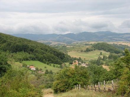 Отель Casuta De La Munte Sfodea Экстерьер фото