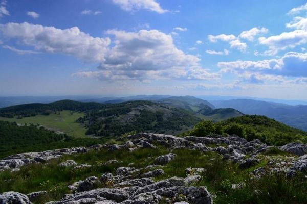 Отель Casuta De La Munte Sfodea Экстерьер фото